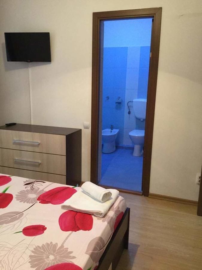 Отели типа «постель и завтрак» B&B Vila Erica Bistrita Бистрица-20