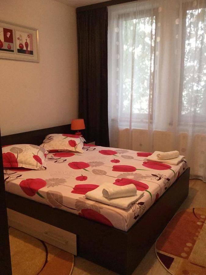 Отели типа «постель и завтрак» B&B Vila Erica Bistrita Бистрица-21