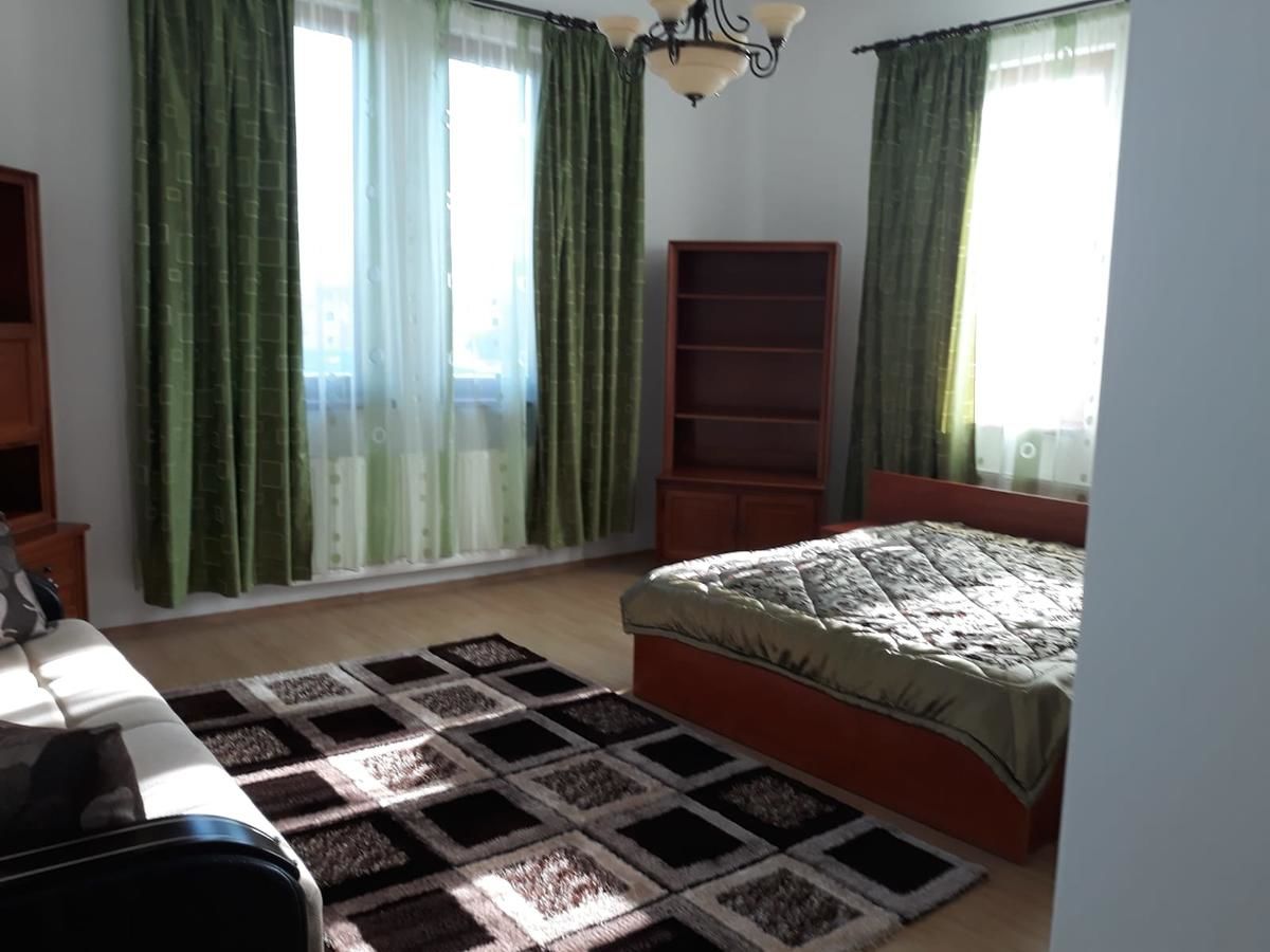 Отели типа «постель и завтрак» B&B Vila Erica Bistrita Бистрица-6