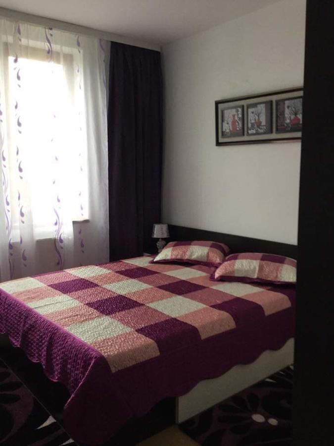 Отели типа «постель и завтрак» B&B Vila Erica Bistrita Бистрица-8