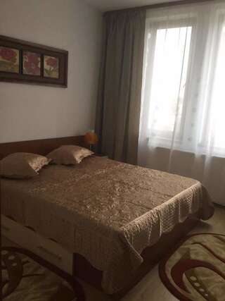 Отели типа «постель и завтрак» B&B Vila Erica Bistrita Бистрица-7